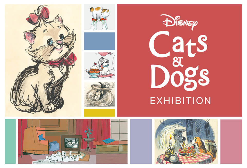 Disney_cats&Dogs_top